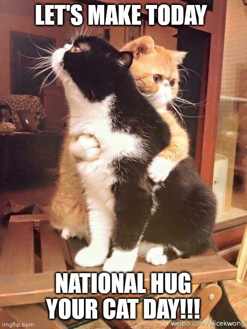 cats hugging | LET'S MAKE TODAY; NATIONAL HUG YOUR CAT DAY!!! | image tagged in cats hugging | made w/ Imgflip meme maker