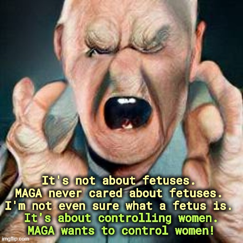 It's not about fetuses. MAGA never cared about fetuses. I'm not even sure what a fetus is. It's about controlling women. MAGA wants to control women! | image tagged in maga,idiot,mean,nasty,control,women | made w/ Imgflip meme maker
