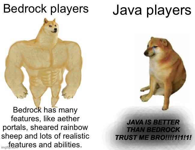 I can’t explain how true this is | Bedrock players; Java players; Bedrock has many features, like aether portals, sheared rainbow sheep and lots of realistic features and abilities. JAVA IS BETTER THAN BEDROCK TRUST ME BRO!!!!1!1!1! | image tagged in memes,buff doge vs cheems | made w/ Imgflip meme maker