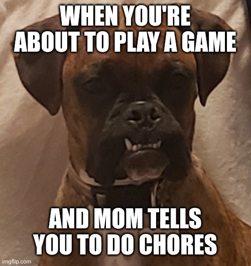 Angry | WHEN YOU'RE ABOUT TO PLAY A GAME; AND MOM TELLS YOU TO DO CHORES | image tagged in angry dog | made w/ Imgflip meme maker