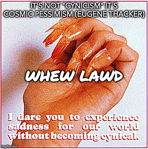 eraser, eraser | IT'S NOT "CYNICISM" IT'S COSMIC PESSIMISM (EUGENE THACKER); WHEW LAWD | image tagged in slaveocracy | made w/ Imgflip meme maker