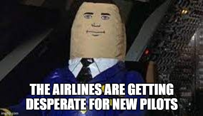 Otto Pilot | THE AIRLINES ARE GETTING DESPERATE FOR NEW PILOTS | image tagged in airplane,auto pilot,otto pilot | made w/ Imgflip meme maker