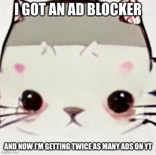 hoes zad | I GOT AN AD BLOCKER; AND NOW I'M GETTING TWICE AS MANY ADS ON YT | image tagged in hoes zad | made w/ Imgflip meme maker