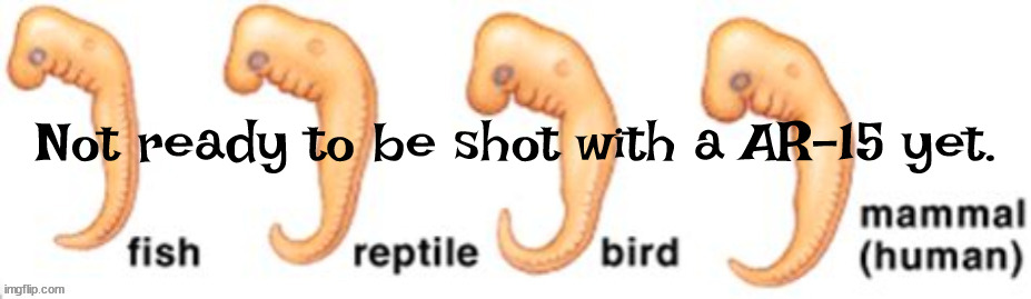 Oh shoot! | Not ready to be shot with a AR-15 yet. | image tagged in fetus,pro-choice,future victims,nra,scotus | made w/ Imgflip meme maker