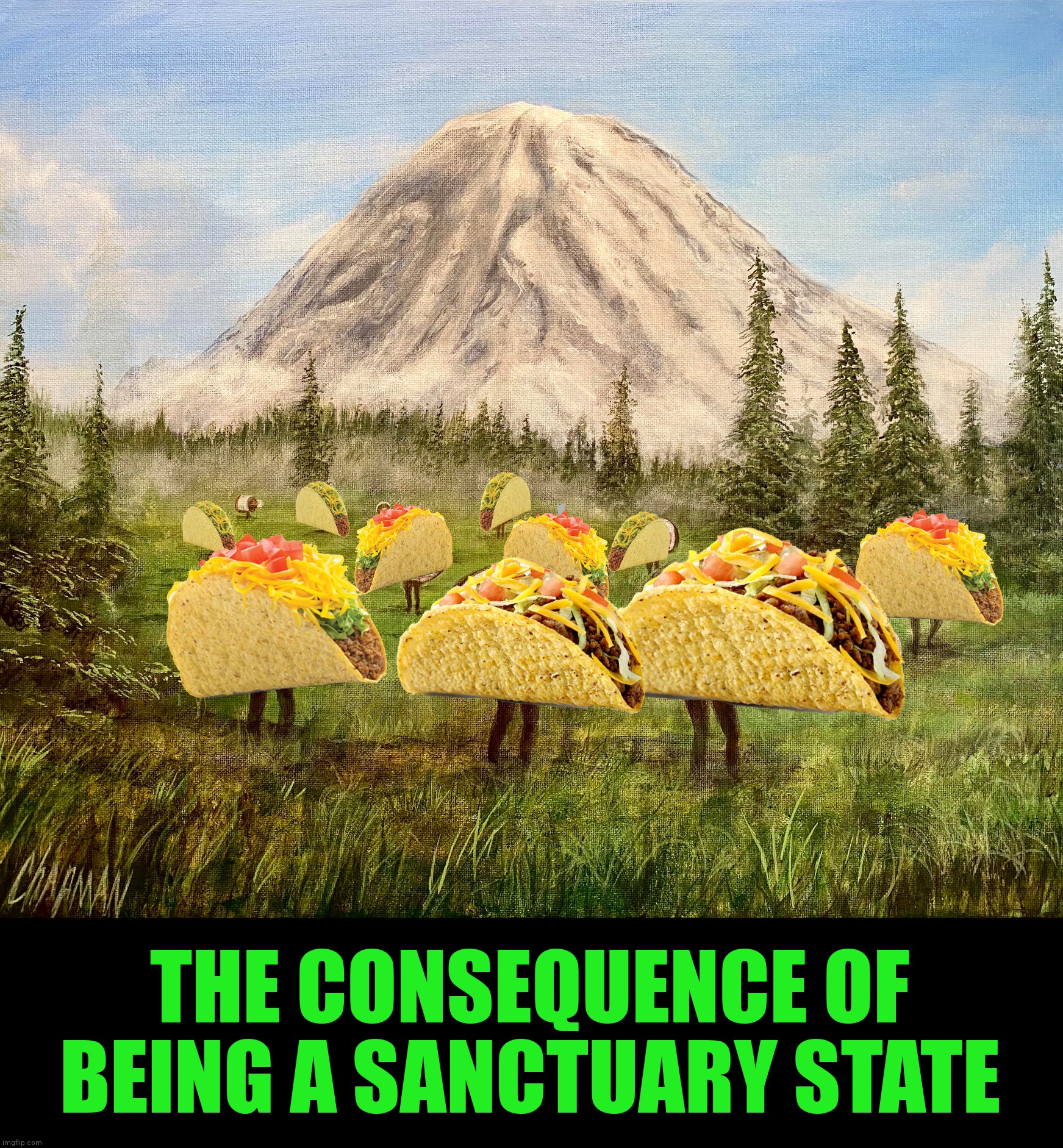 Meanwhile in Washington State | THE CONSEQUENCE OF BEING A SANCTUARY STATE | image tagged in bad photoshop,mount rainier,tacos,washington state,mountain fresh rainier | made w/ Imgflip meme maker
