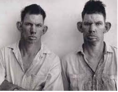 Incest brothers Blank Meme Template