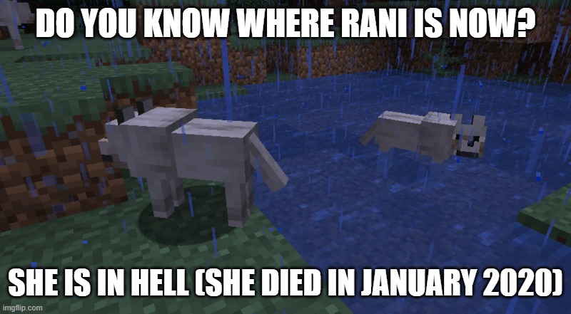 Dark Wolves | DO YOU KNOW WHERE RANI IS NOW? SHE IS IN HELL (SHE DIED IN JANUARY 2020) | image tagged in dark wolves,the lion guard,rani died for a reason,lion guard,happy | made w/ Imgflip meme maker