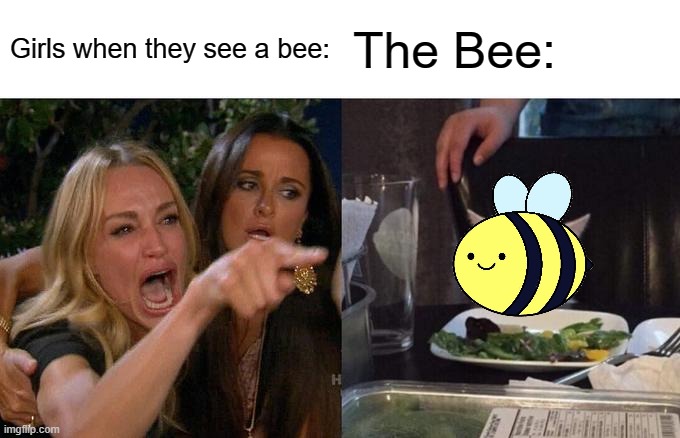 Woman Yelling At Cat | Girls when they see a bee:; The Bee: | image tagged in memes,woman yelling at cat | made w/ Imgflip meme maker