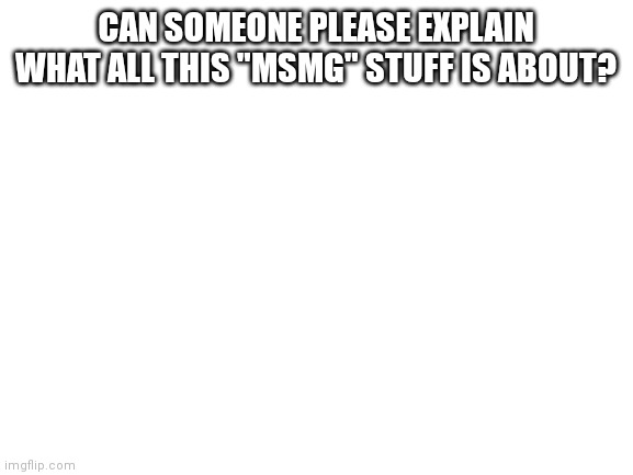 Blank White Template | CAN SOMEONE PLEASE EXPLAIN WHAT ALL THIS "MSMG" STUFF IS ABOUT? | image tagged in blank white template | made w/ Imgflip meme maker