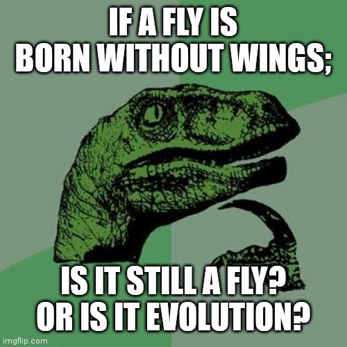 Just for fun... | IF A FLY IS BORN WITHOUT WINGS;; IS IT STILL A FLY? OR IS IT EVOLUTION? | image tagged in memes,philosoraptor | made w/ Imgflip meme maker