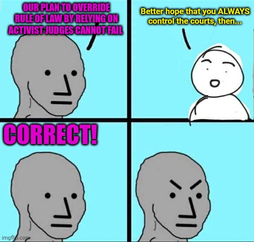 NPC Meme | OUR PLAN TO OVERRIDE RULE OF LAW BY RELYING ON ACTIVIST JUDGES CANNOT FAIL Better hope that you ALWAYS control the courts, then... CORRECT! | image tagged in npc meme | made w/ Imgflip meme maker