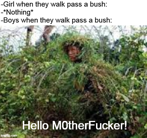 Boys when they see a bush | -Girl when they walk pass a bush:
-*Nothing*
-Boys when they walk pass a bush:; Hello M0therFucker! | image tagged in boys vs girls | made w/ Imgflip meme maker