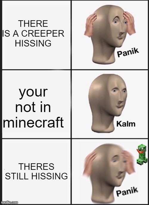 Panik Kalm Panik | THERE IS A CREEPER HISSING; your not in minecraft; THERES STILL HISSING | image tagged in memes,panik kalm panik | made w/ Imgflip meme maker