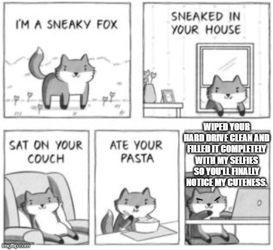 Foxes are adorable. | WIPED YOUR HARD DRIVE CLEAN AND FILLED IT COMPLETELY WITH MY SELFIES SO YOU'LL FINALLY NOTICE MY CUTENESS. | image tagged in sneaky fox,foxes,funny,memes | made w/ Imgflip meme maker