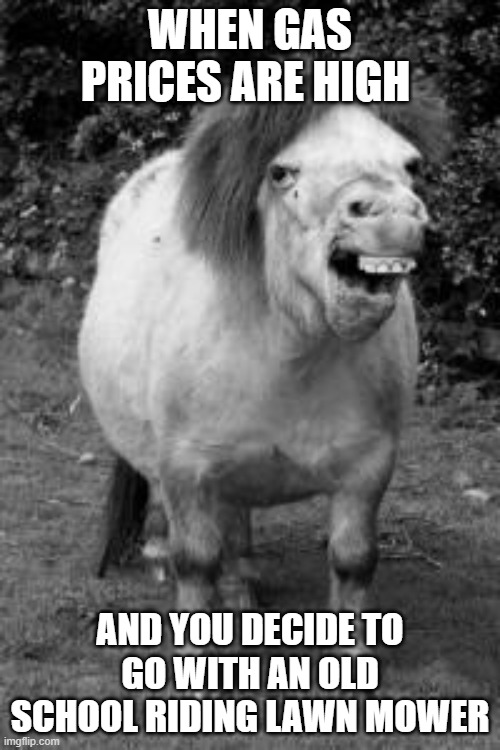 Gassy Horse | WHEN GAS PRICES ARE HIGH; AND YOU DECIDE TO GO WITH AN OLD SCHOOL RIDING LAWN MOWER | image tagged in ugly horse | made w/ Imgflip meme maker