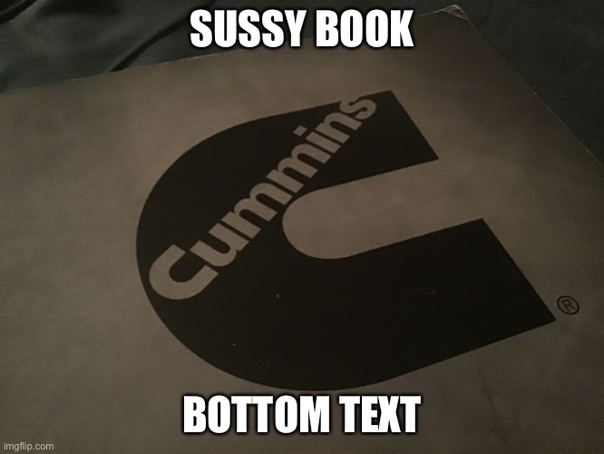 hmmm | SUSSY BOOK; BOTTOM TEXT | image tagged in hmmm | made w/ Imgflip meme maker