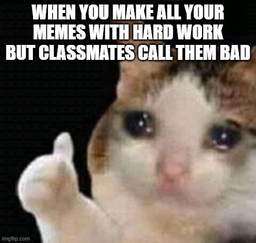 Sadness | WHEN YOU MAKE ALL YOUR MEMES WITH HARD WORK BUT CLASSMATES CALL THEM BAD | image tagged in sad thumbs up cat | made w/ Imgflip meme maker