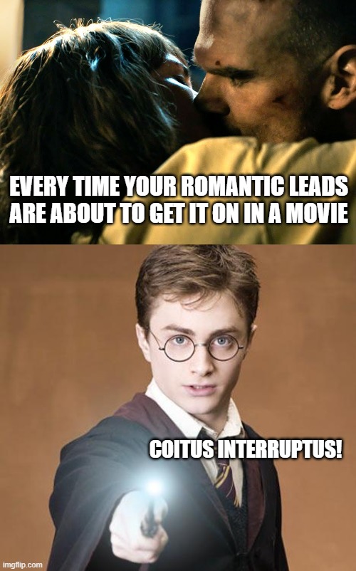 Why don't writers ever let them get to second base? | EVERY TIME YOUR ROMANTIC LEADS ARE ABOUT TO GET IT ON IN A MOVIE; COITUS INTERRUPTUS! | image tagged in harry potter casting a spell,memes,romance,movies,intercourse | made w/ Imgflip meme maker