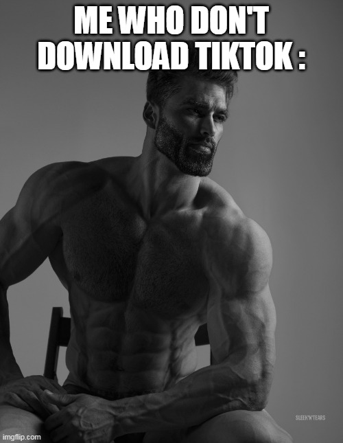 Giga Chad | ME WHO DON'T DOWNLOAD TIKTOK : | image tagged in giga chad | made w/ Imgflip meme maker