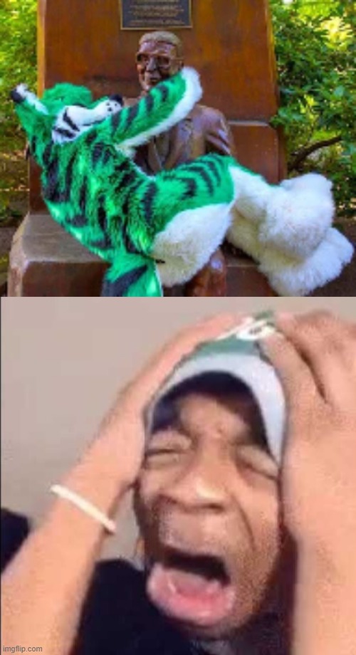 WHY MUST YOU | made w/ Imgflip meme maker