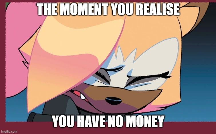 No money? | THE MOMENT YOU REALISE; YOU HAVE NO MONEY | image tagged in fun,memes,sonic | made w/ Imgflip meme maker