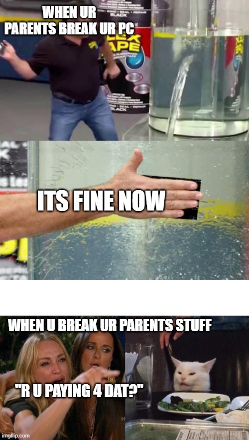 Differences in life | WHEN UR PARENTS BREAK UR PC; ITS FINE NOW; WHEN U BREAK UR PARENTS STUFF; "R U PAYING 4 DAT?" | image tagged in flex tape,memes,woman yelling at cat | made w/ Imgflip meme maker