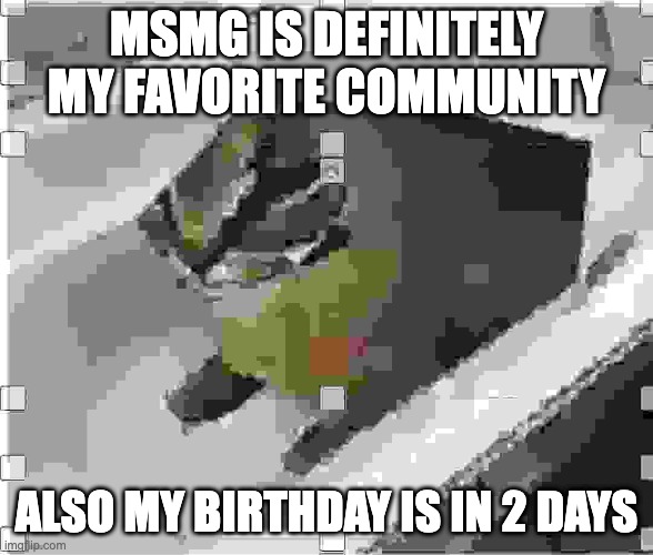 its all fun and games until jeffery finds out my birthday and doxxes then rapes me idk | MSMG IS DEFINITELY MY FAVORITE COMMUNITY; ALSO MY BIRTHDAY IS IN 2 DAYS | image tagged in very low quality floppa | made w/ Imgflip meme maker