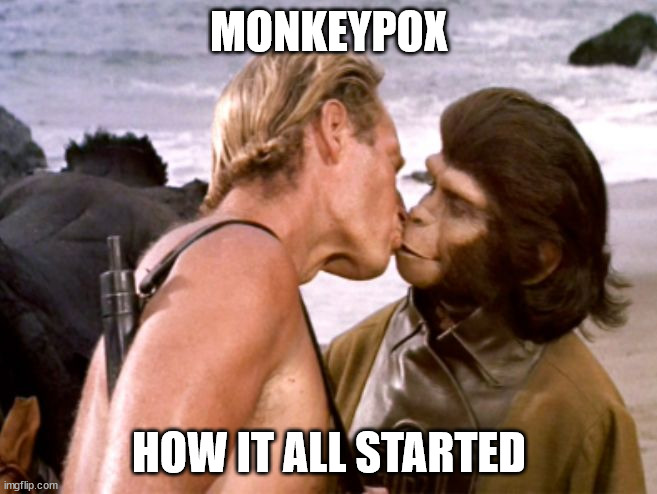 Planet of the apes kiss | MONKEYPOX; HOW IT ALL STARTED | image tagged in planet of the apes kiss | made w/ Imgflip meme maker