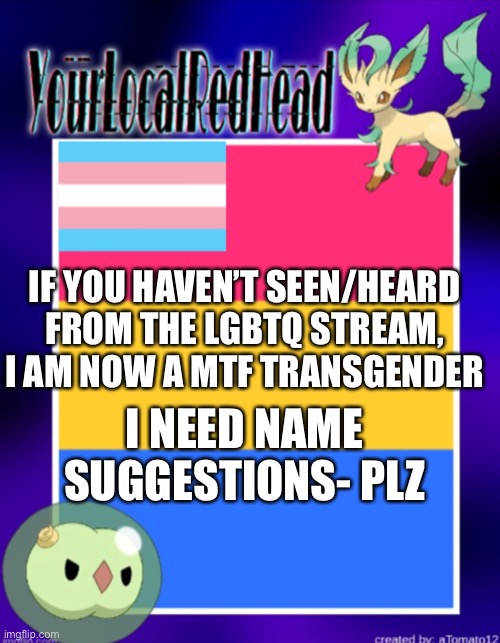 IF YOU HAVEN’T SEEN/HEARD FROM THE LGBTQ STREAM, I AM NOW A MTF TRANSGENDER; I NEED NAME SUGGESTIONS- PLZ | image tagged in yourlocalredhead s temp | made w/ Imgflip meme maker