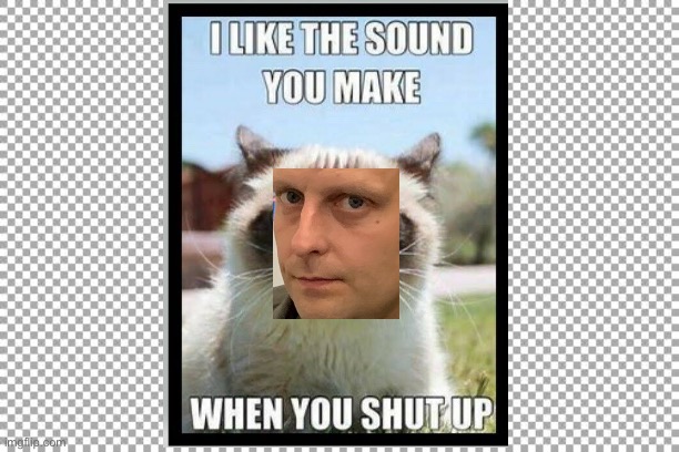 image tagged in grumpy cat | made w/ Imgflip meme maker