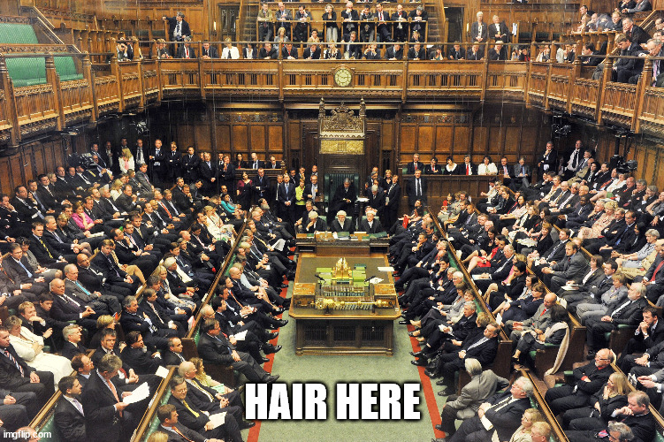 British Parliament | HAIR HERE | image tagged in british parliament | made w/ Imgflip meme maker