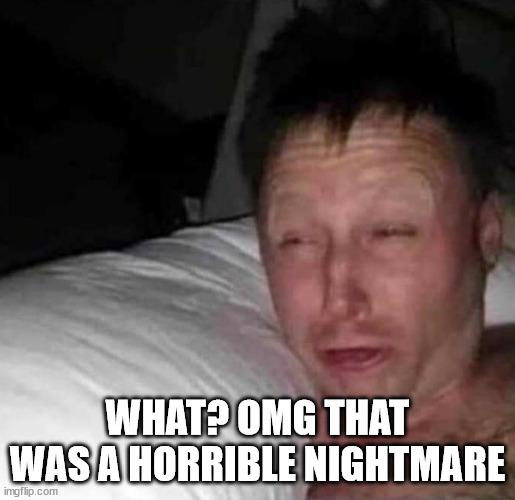 Sleepy guy | WHAT? OMG THAT WAS A HORRIBLE NIGHTMARE | image tagged in sleepy guy | made w/ Imgflip meme maker