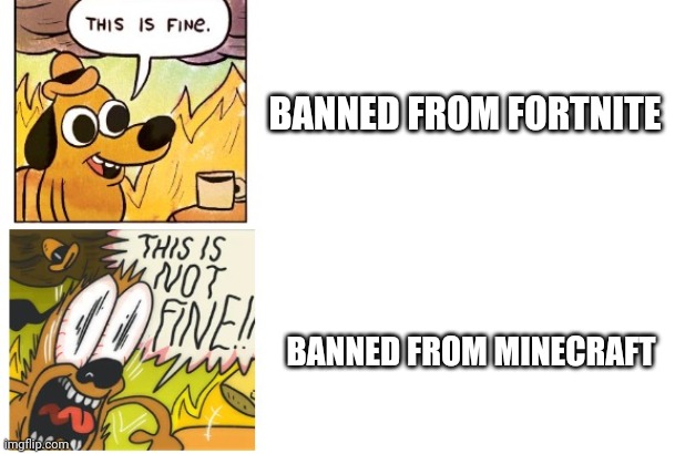 Dont ask me about mc bans | BANNED FROM FORTNITE; BANNED FROM MINECRAFT | image tagged in this is fine this is not fine | made w/ Imgflip meme maker