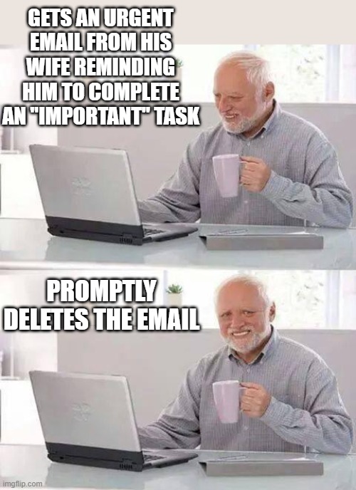 The Nature Of Man 2 | GETS AN URGENT EMAIL FROM HIS WIFE REMINDING HIM TO COMPLETE AN "IMPORTANT" TASK; PROMPTLY DELETES THE EMAIL | image tagged in memes,hide the pain harold,humor,funny memes,lol,dark humor | made w/ Imgflip meme maker