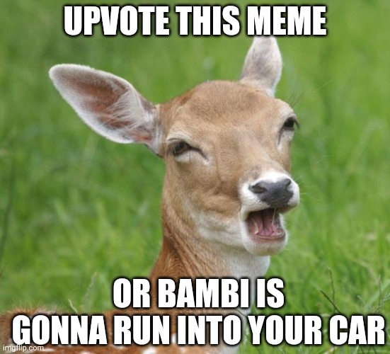 *Staring into headlights intensifies* | UPVOTE THIS MEME; OR BAMBI IS GONNA RUN INTO YOUR CAR | image tagged in go home bambi you're drunk | made w/ Imgflip meme maker