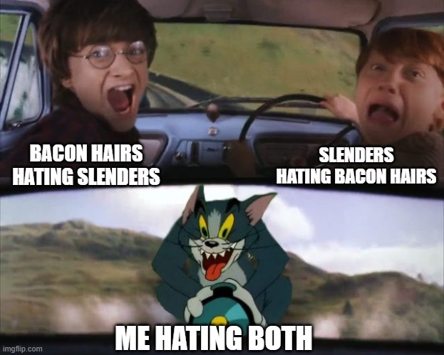 I need help | SLENDERS HATING BACON HAIRS; BACON HAIRS HATING SLENDERS; ME HATING BOTH | image tagged in tom chasing harry and ron weasly | made w/ Imgflip meme maker