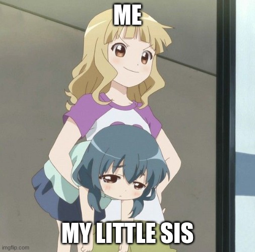 idk | ME; MY LITTLE SIS | image tagged in anime carry | made w/ Imgflip meme maker