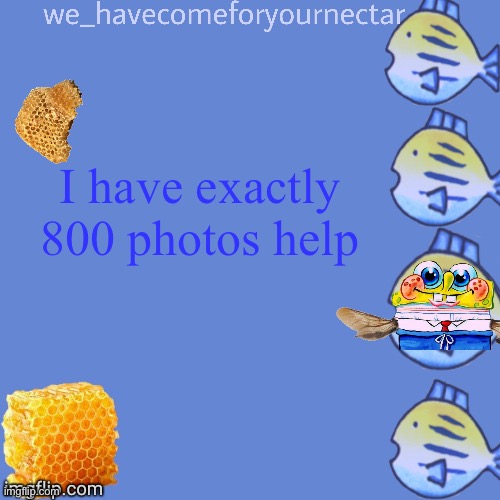 We_HaveComeForYourNectar’s template (thanks to stansmith69420) | I have exactly 800 photos help | image tagged in we_havecomeforyournectar s template thanks to stansmith69420 | made w/ Imgflip meme maker