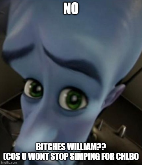 Sad Megamind | NO; BITCHES WILLIAM??

(COS U WONT STOP SIMPING FOR CHLBO | image tagged in sad megamind | made w/ Imgflip meme maker
