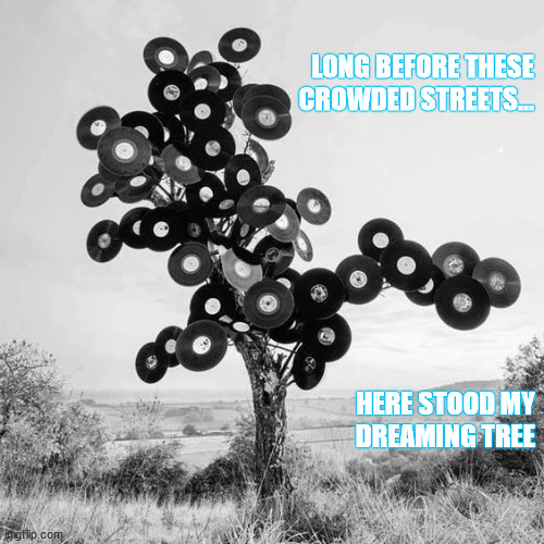 DMB~ The Dreaming Tree |  LONG BEFORE THESE
CROWDED STREETS... HERE STOOD MY
DREAMING TREE | image tagged in dmb,dave matthews band,tree,dreaming,street,crowd of people | made w/ Imgflip meme maker