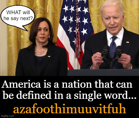Crapshoot As To 'What EITHER of Them Will Say Next'!! | WHAT will he say next? America is a nation that can  
be defined in a single word... azafoothimuuvitfuh | image tagged in politics,joe biden,kamala harris,dumb and dumber,two peas in a pod,imgflip humor | made w/ Imgflip meme maker