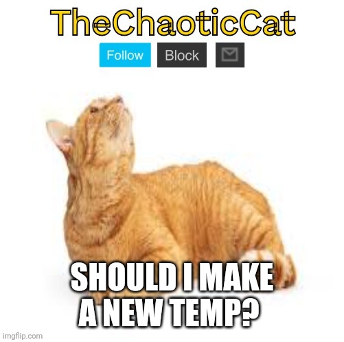 TheChaoticCat temp | SHOULD I MAKE A NEW TEMP? | image tagged in thechaoticcat temp | made w/ Imgflip meme maker