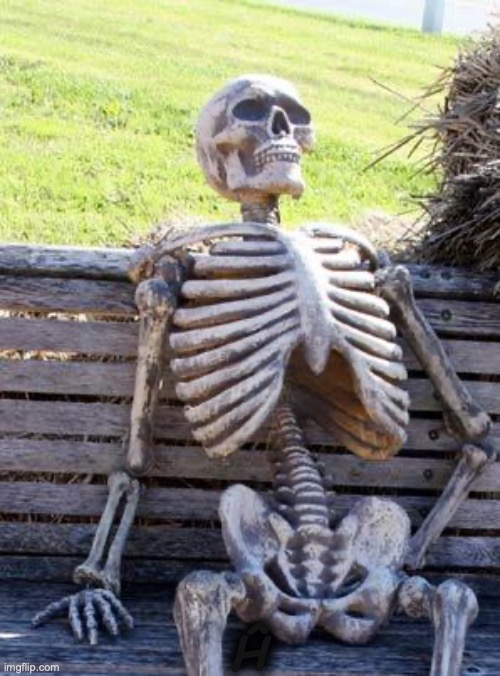 tsoprihs | Ĥ | image tagged in memes,waiting skeleton | made w/ Imgflip meme maker