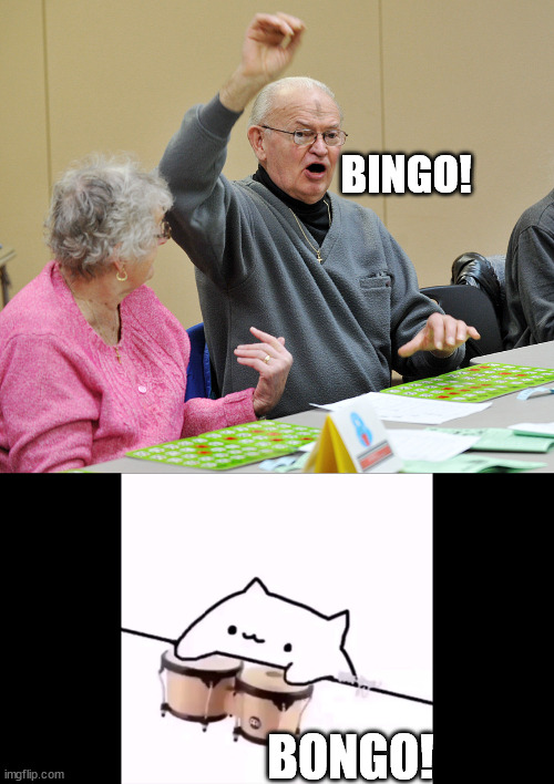 BINGO! BONGO! | image tagged in bingo,bongo cat | made w/ Imgflip meme maker