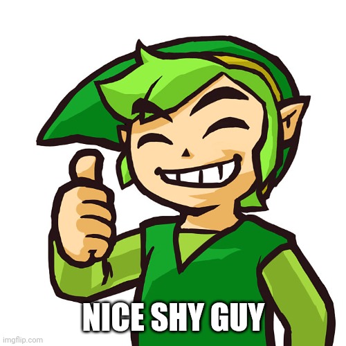 Happy Link | NICE SHY GUY | image tagged in happy link | made w/ Imgflip meme maker