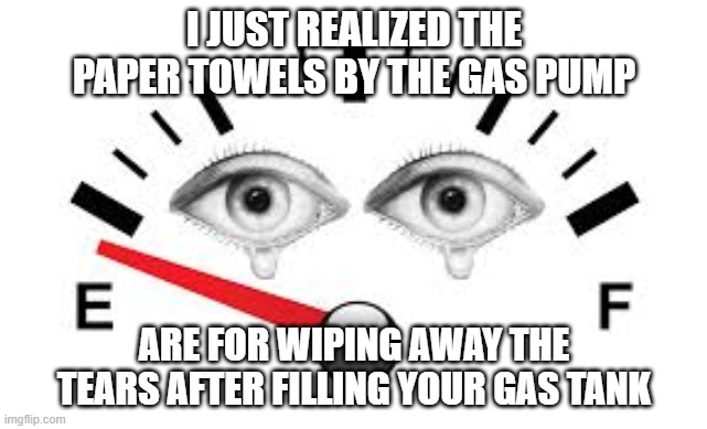 Funny truths | I JUST REALIZED THE PAPER TOWELS BY THE GAS PUMP; ARE FOR WIPING AWAY THE TEARS AFTER FILLING YOUR GAS TANK | image tagged in fun | made w/ Imgflip meme maker