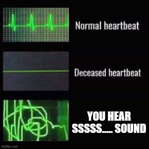 AHHFGUFHIFIHHIFHPBFNID)(PJDP | YOU HEAR SSSSS..... SOUND | image tagged in heartbeat rate,minecraft,creeper oh man | made w/ Imgflip meme maker