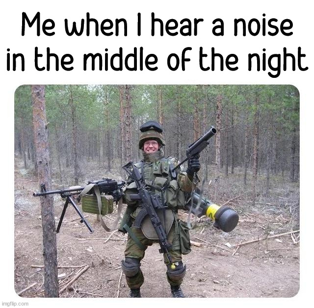 Guns Ablazing | Me when I hear a noise in the middle of the night | image tagged in hearing | made w/ Imgflip meme maker