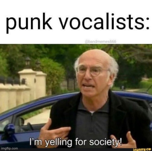 punk vocalist | image tagged in memes,funny memes,so true memes | made w/ Imgflip meme maker