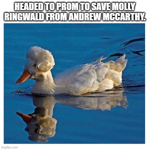 The Real Duck Man | HEADED TO PROM TO SAVE MOLLY RINGWALD FROM ANDREW MCCARTHY. | image tagged in fancy duck | made w/ Imgflip meme maker